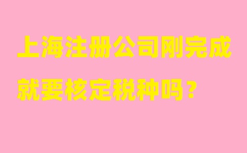 上海注冊(cè)公司剛完成就要核定稅種嗎？